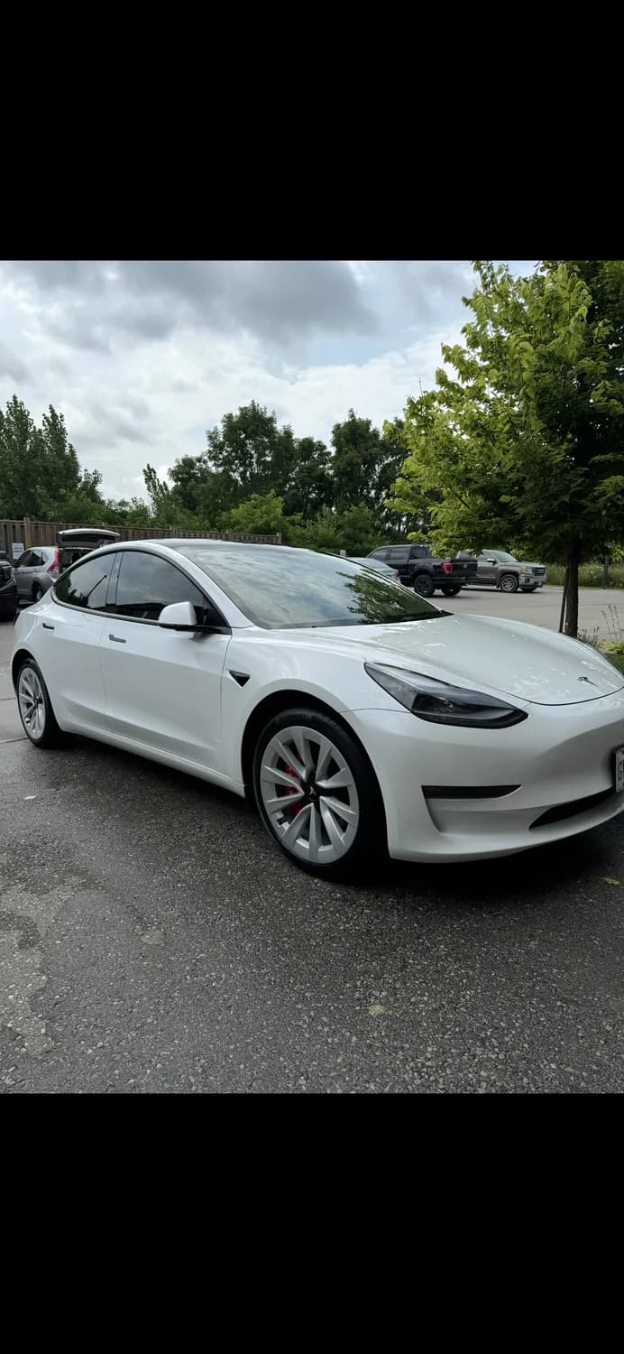 White Tesla after mobile detailing